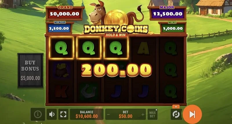 Donkey Coins Hold & Win - Hold & Win -tilan käynnistys